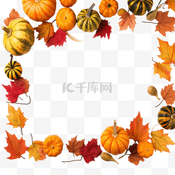 秋叶和南瓜的感恩节框架