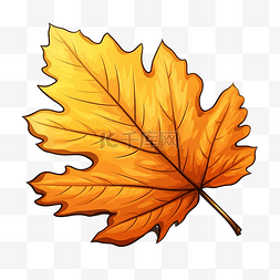 秋天3d元素图片_卡通插图中的秋叶