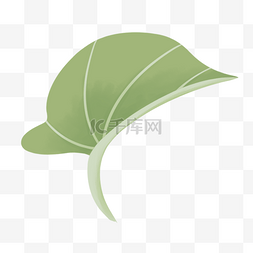 绿色一片叶子图片_一片绿色树叶植物