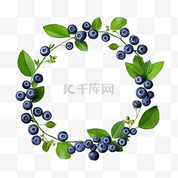 圆形复制图片_圆形框架，蓝莓，绿叶复制空间