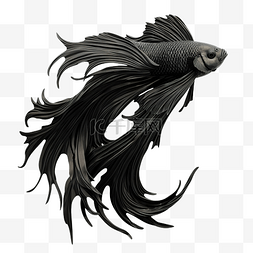 河水色图片_黑色扭曲鳍观赏鱼