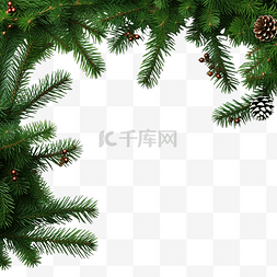 有空图片_圣诞树树枝上的框架，有空的文本