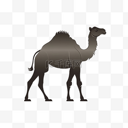 沙漠的剪影图片_坐着的骆驼剪影