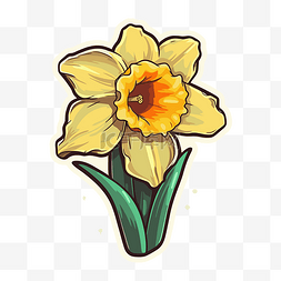 画上花图片_水仙花贴纸上有一朵黄色的花剪贴