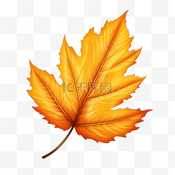 秋天的叶子图片_秋天的叶子图形元素