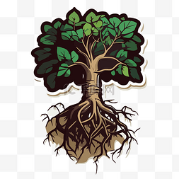 免费png插画图片_森林里有根的树的免费插画 向量