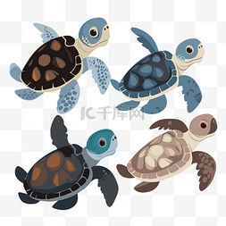 海龟剪贴画 四只不同颜色的海龟