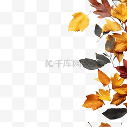 枫树的叶子图片_灰色桌子上的橙色秋叶