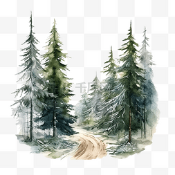 森林与图片_冬季圣诞水彩与孤立的绿色针叶树
