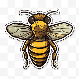蜂产品图片_蜜蜂贴纸贴纸 向量