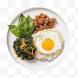罗勒属植物图片_炒罗勒配煎鸡蛋和米饭泰国菜
