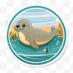 可爱的海豹与水和草一起游泳 向