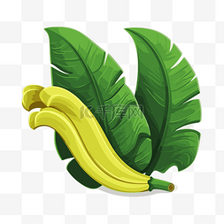 黄色香蕉片图片_香蕉假 向量