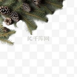 灰色的树图片_圣诞树枝，木板上有锥体，靠在灰