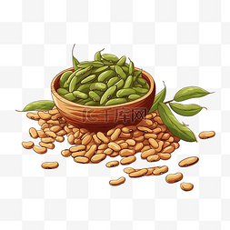 豆类背景图片_孤立背景下的豆类主食插图