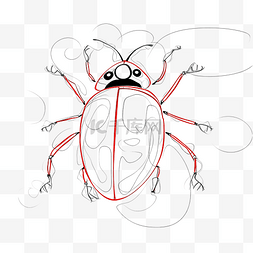 连续图片图片_用一张连续的线条草图绘制瓢虫