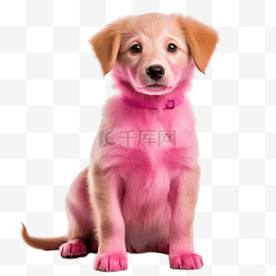 动物狗卡片图片_粉红色的狗