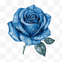 蓝色玫瑰剪贴画矢量插画蓝色玫瑰