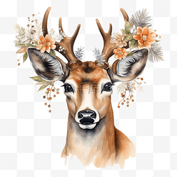 卡通手绘花素描图片_手绘鹿与圣诞花的水彩肖像