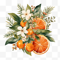 麦卡伦海报图片_圣诞水彩橙子和冬季植物卡