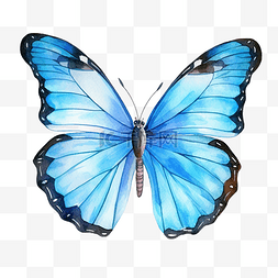 水彩画的明亮的蝴蝶与蓝色翅膀形