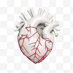 人类心脏 3D 模型的简约插图