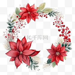 植物与家图片_圣诞花框与冬季植物一品红水彩