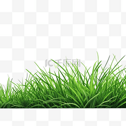 绿草植物插画背景