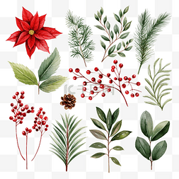 植物装饰品海报图片_水彩圣诞植物套装