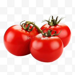 蓝色美食图片_西红柿 蔬菜 食品