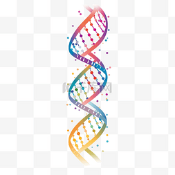 dna螺旋分子图图片_最小风格的 DNA 和基因插图