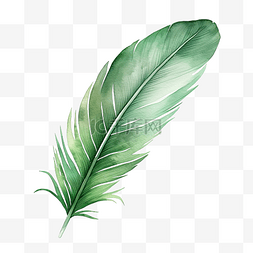 手绘树叶自然植物图片_水彩绿色羽毛剪贴画