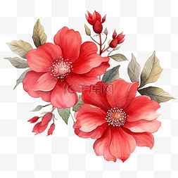 水彩插图片_紅色花朵水彩插圖