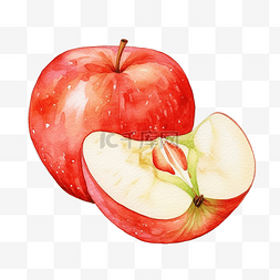 切片红苹果水彩