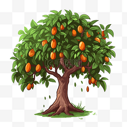 芒果樹 向量
