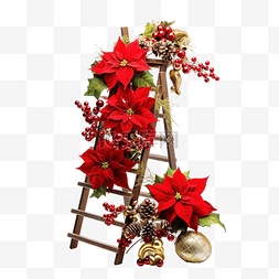 圣诞花一品红和装饰梯上的装饰品