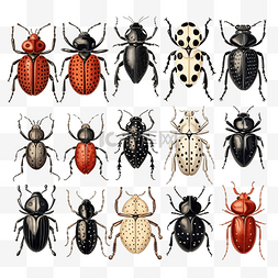 可怕而逼真的彩色手绘甲虫和蜘蛛