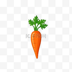 胡萝卜土豆图片_扁平式胡萝卜的分离