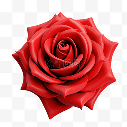 3d 红玫瑰花