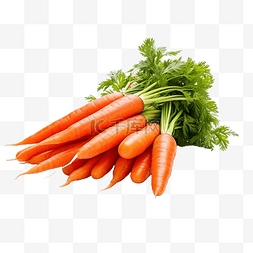 有胡萝卜的蔬菜图片_胡萝卜堆蔬菜隔离png文件