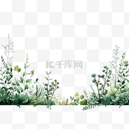天然植物图片_ai生成天然植物框架免费插画