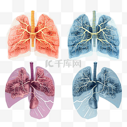 灰丝带图片_一组感染性肺炎的肺部图形表示