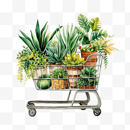 里衬白色图片_购物车里的各种盆栽植物