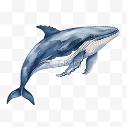 鲸鱼水彩剪贴画