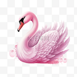 可愛的粉紅天鵝