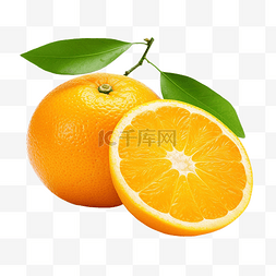 新鲜采摘的橙子隔离