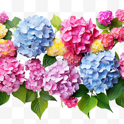 图案花团图片_ai绘画花团锦簇元素立体免抠图案