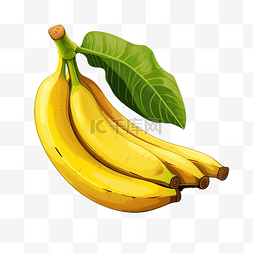 水果蔬菜透明素材图片_热带香蕉水果 PNG 文件