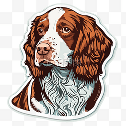 布格图片_一只全白史宾格犬的狗贴纸，棕色