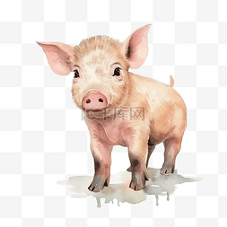 水彩手绘肉图片_复古水彩猪